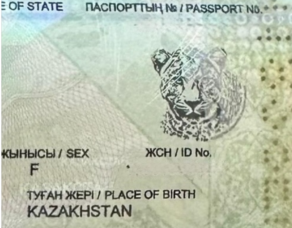 Новый элемент защиты добавили в паспорт Казахстана