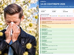 Аллергикам стоит быть осторожнее: пыльца полыни побила рекорд в Алматы