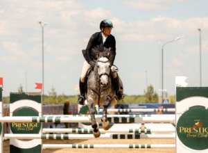 Пройдет чемпионат Алматинской области по конкуру