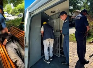 Полиция Алматы рассказала куда доставляют бездомных с улиц