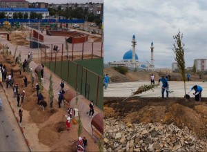В области Ұлытау в рамках акции “Таза Қазақстан” высадили около 3 500 деревьев
