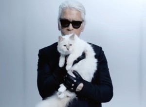 Любимая кошка Карла Лагерфельда осталась без его наследства