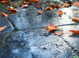 Дожди, мокрый снег и гололед: какой будет погода в Казахстане 6-8 октября