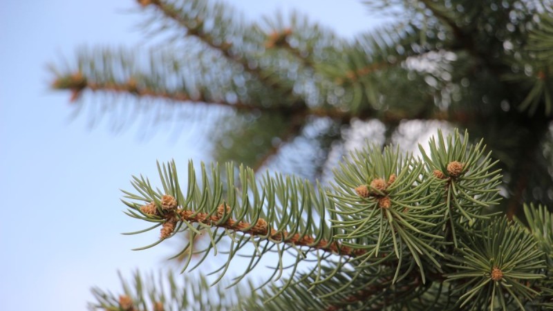 Резкое похолодание ожидается в ближайшие дни в Казахстане