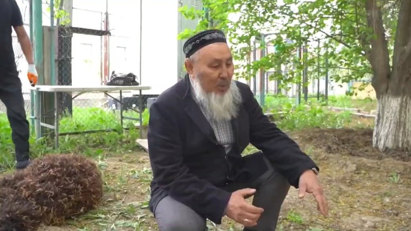 Аутсайдер чемпионата РК по футболу принес в жертву барана, но вновь потерпел фиаско