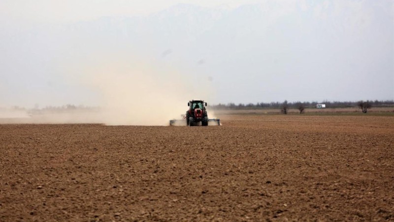 В южных регионах Казахстана завершается посевная кампания