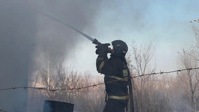 Об опасности тополиного пуха предупреждает МЧС