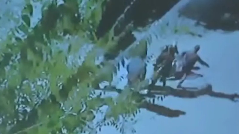 В суде показали чудовищные кадры избиения Шерзата Болата