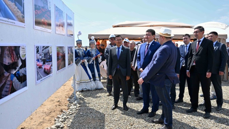 Мясные деликатесы высшей категории будут выпускать в области Абай