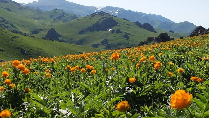 Скрытые жемчужины Казахстана: Топ-5 направлений вне массовых туристских маршрутов