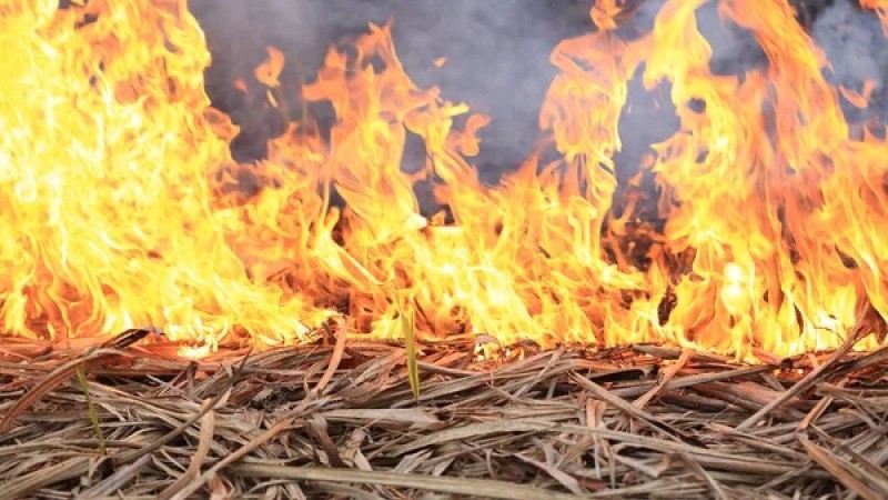 Чрезвычайная пожарная опасность ожидается в Казахстане