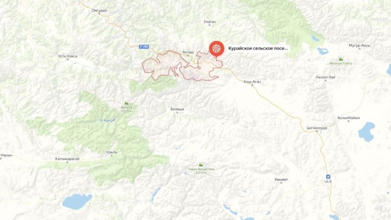 Жители ВКО ощутили землетрясение