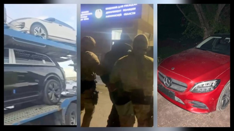 Двое мужчин обманом завладели 13-ю авто в области Жетісу