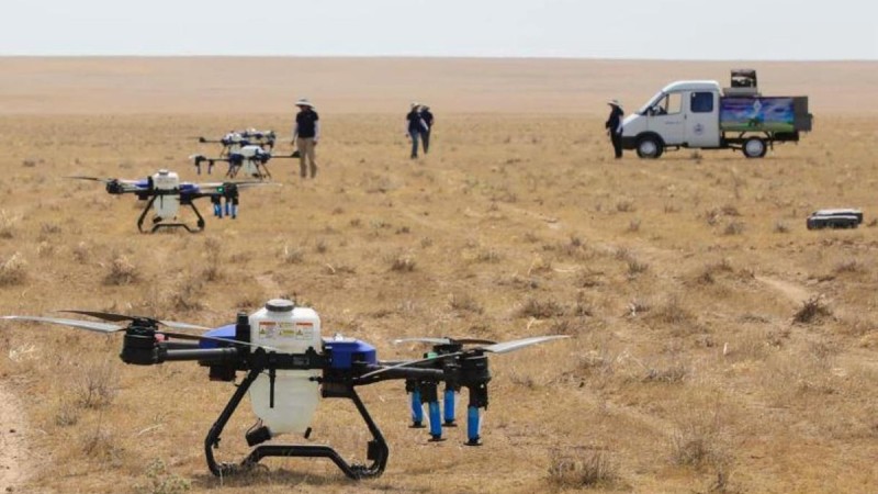 Слухи о массовом нашествии саранчи опровергают в Минсельхозе