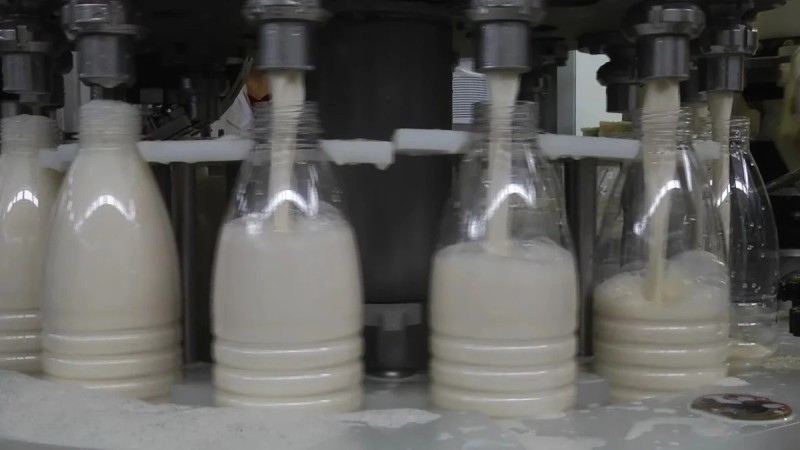 Лаборантка выплатит молочному заводу 6,5 млн тенге за свою халатность