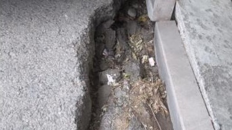 Баян Алагузова обратилась к акимату из-за ямы на дороге