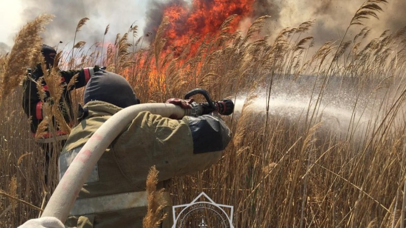 В Атырауской области горит камыш