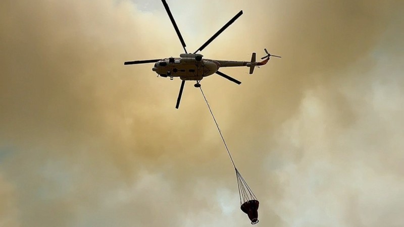 Пожар в природном резервате «Акжайык» локализован