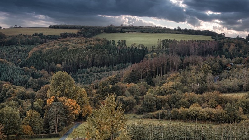 Дожди с грозами ожидаются на большей части Казахстана