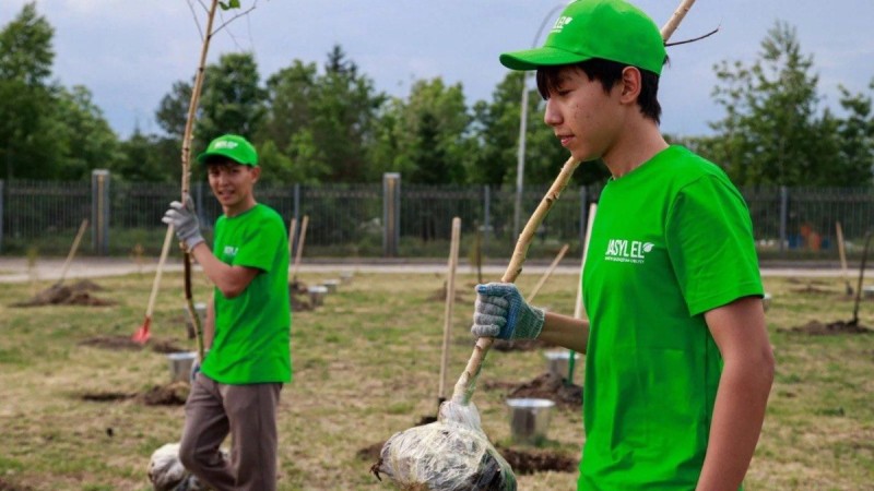 Молодежная инициатива: в ВКО состоялась эко-акция «Жастар күші – табиғат тынысы»