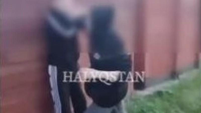 В СКО школьницы толпой жестоко избили сверстницу: начато следствие