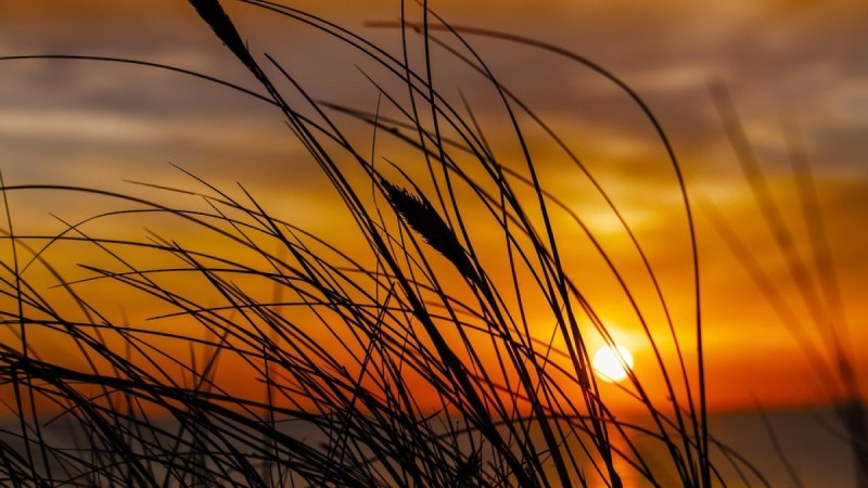 40-градусная жара ожидается в Казахстане