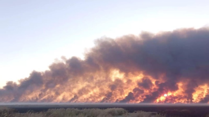 Кому выгодны пожары в резервате «Акжайык»?