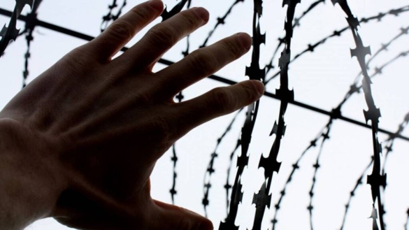 Сенат принял закон об амнистии