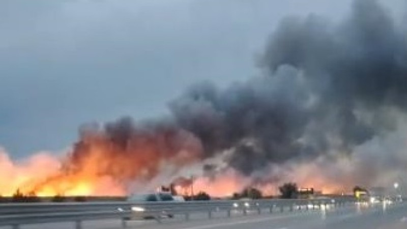 Пожар парализовал движение на трассе в Алматинской области