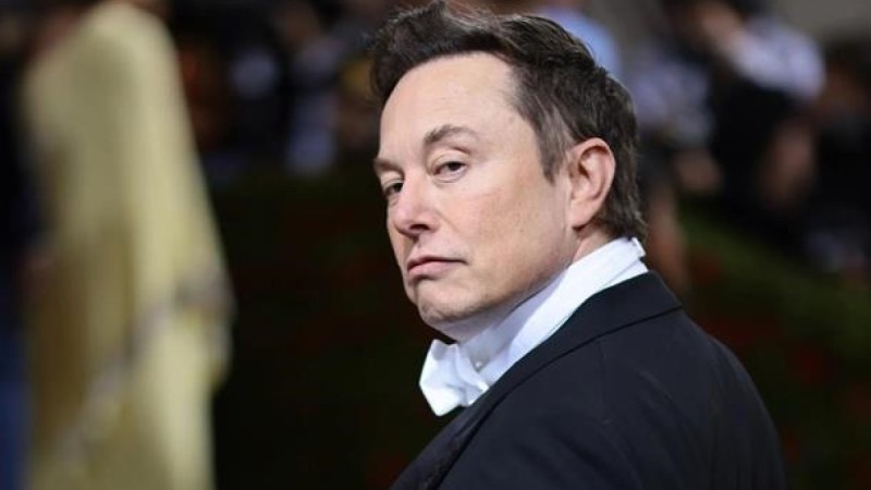 Илон Маск может получить политубежище в России