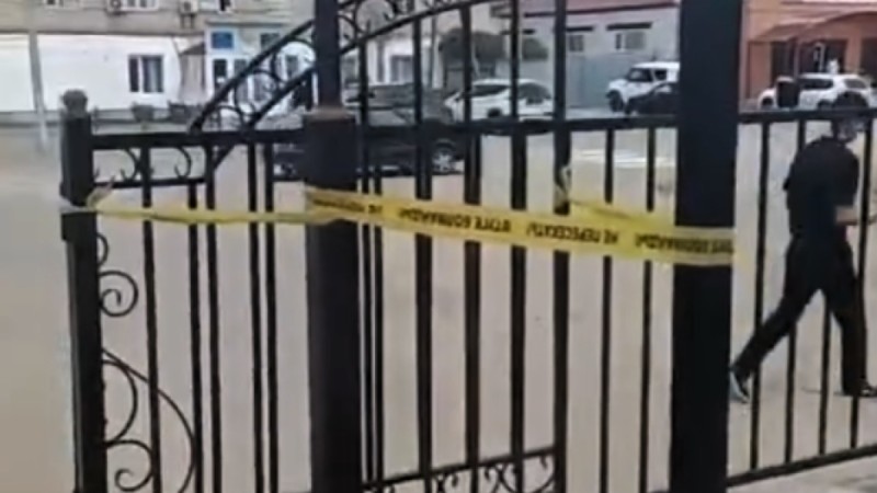 Прогулка по скверу закончилась реанимацией для мальчика в Актюбинской области