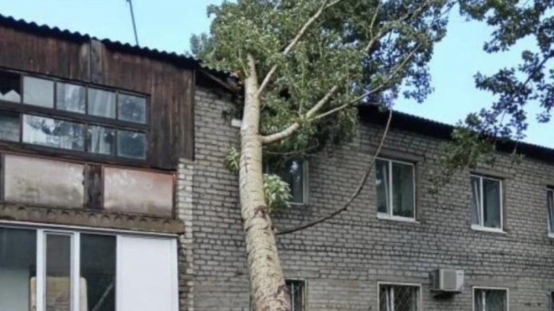 Ураган: в Павлодарской области объявят режим ЧС