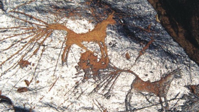 Сохранить петроглифы обещают при строительстве ГЭС в области Жетісу