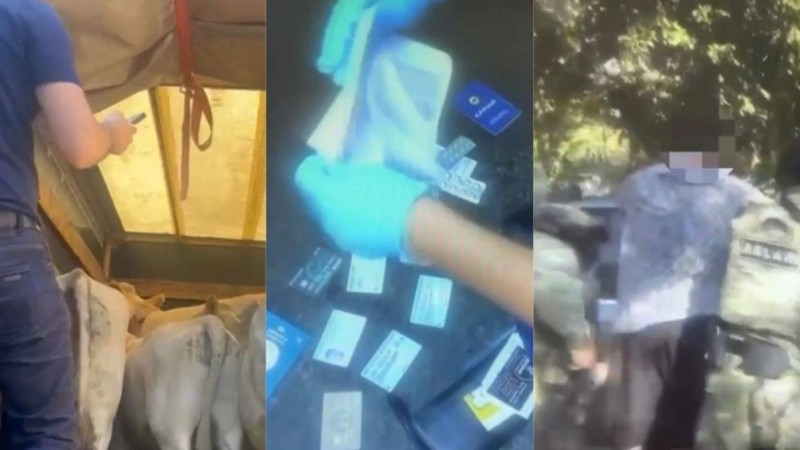 Двое мужчин похитили скот почти на 10 млн тенге в области Жетісу