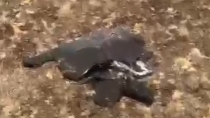 Неизвестный летательный аппарат обнаружен в Атырауской области