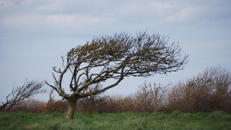 Град и шквал принесет циклон в Казахстан 24 июня