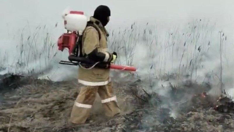 Возгорание камыша в Атырауской области ликвидировано