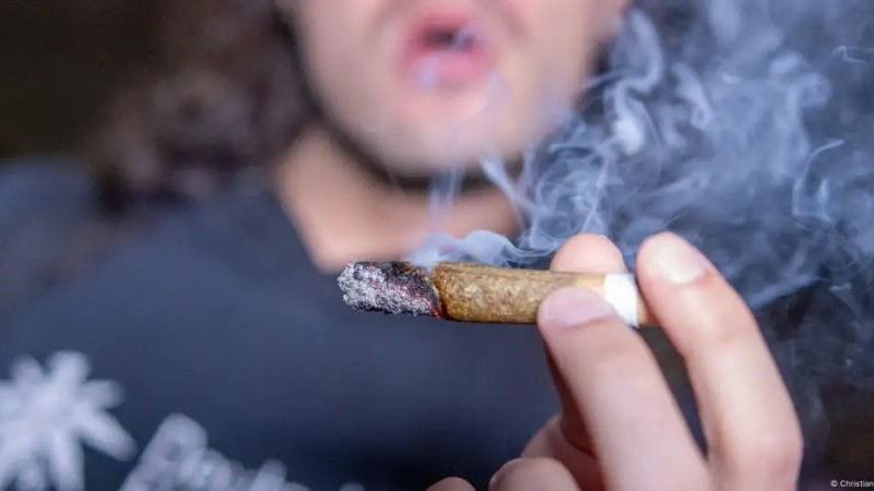 316 млн человек во всем мире употребляют наркотики