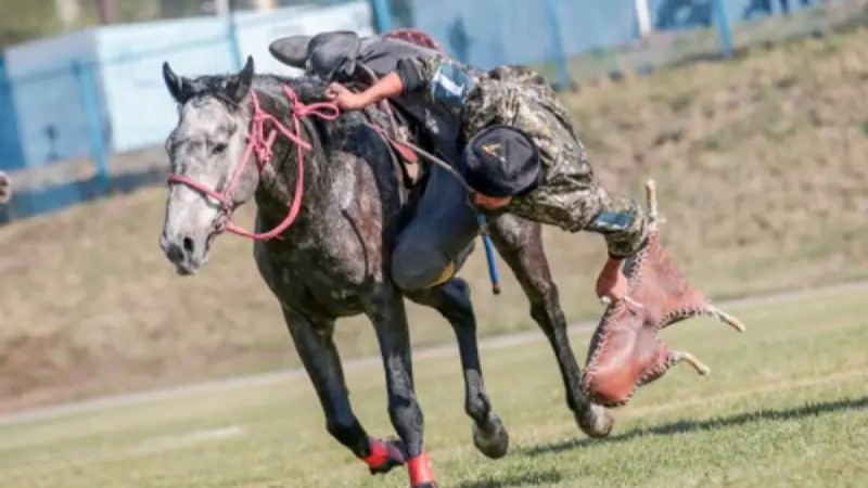 Лошадь придавила участника кокпара в Костанайской области