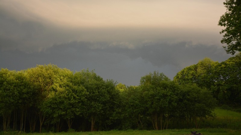Дожди с грозами ожидаются в Казахстане 29 июня