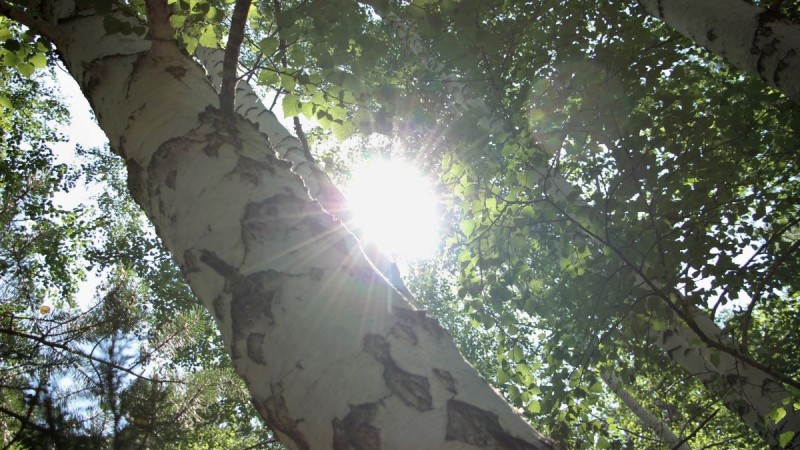 Очередной циклон надвигается на Казахстан