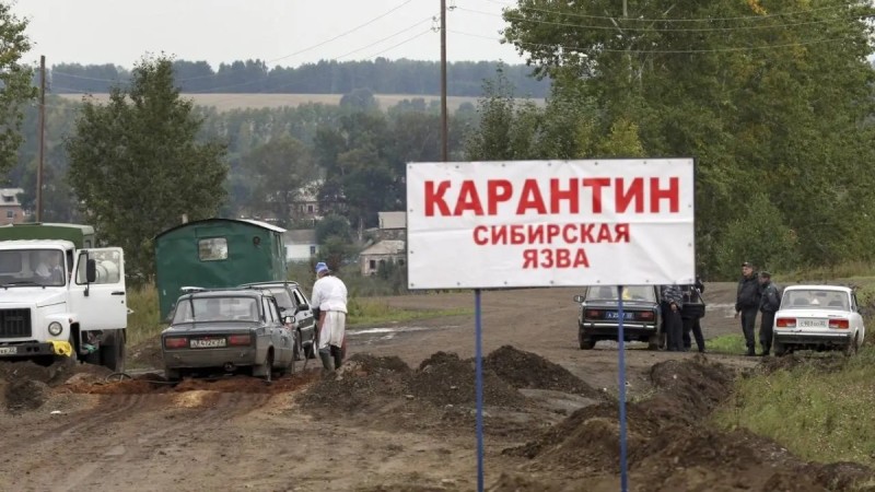 Жители Акмолинской области заразились сибирской язвой