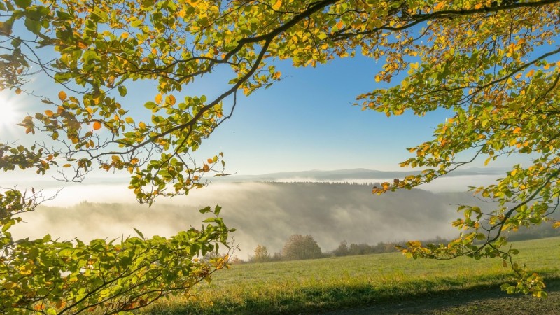 Туман, шквал и град: погода в Казахстане 3 июля