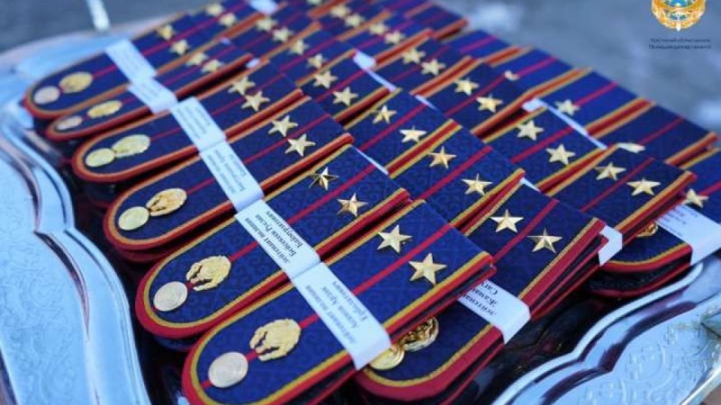 Назойливого "помощника" полиции оштрафовали в Астане