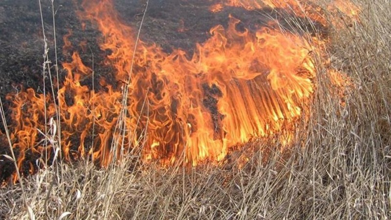 Чрезвычайная пожарная опасность сохраняется в Казахстане