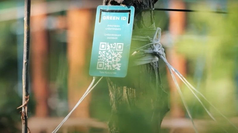 В Астане деревья получат цифровые паспорта