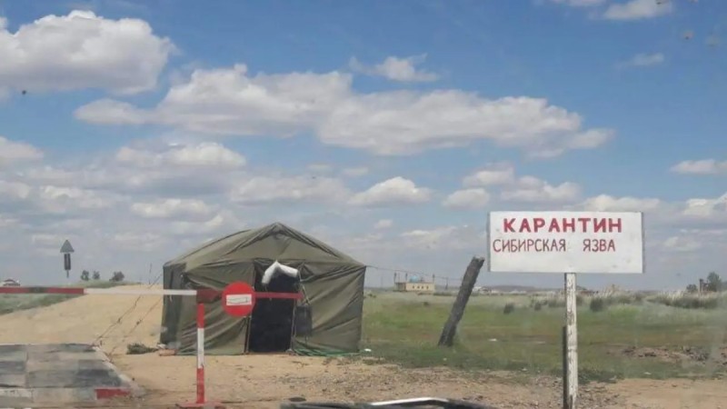 В Казахстане закрыли два села на карантин из-за сибирской язвы