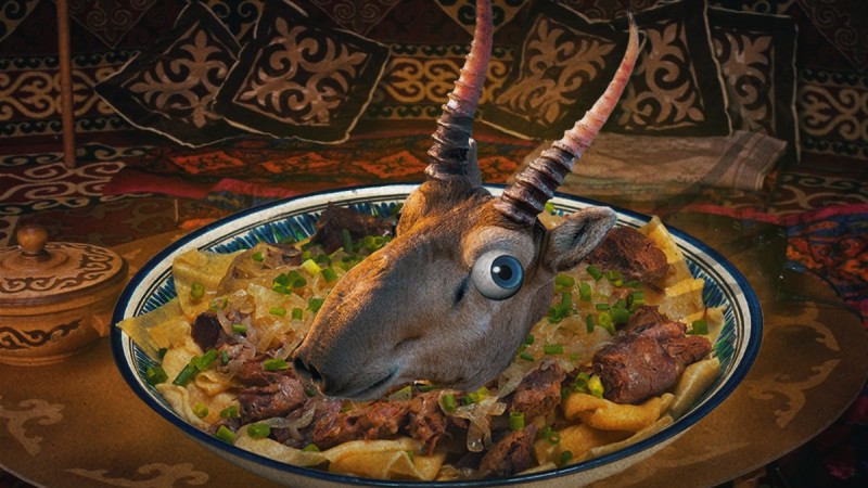 Сколько будет стоить мясо сайгака? Минсельхоз дал рекомендации