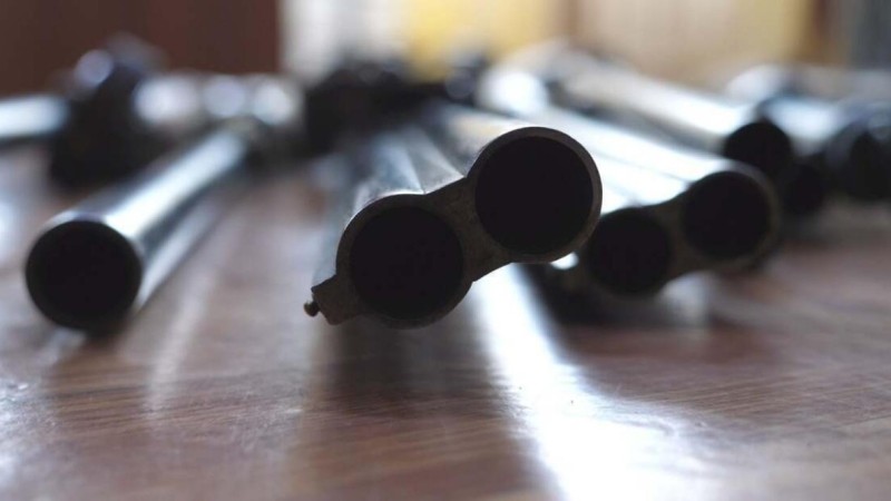 В Актобе мужчина застрелил лося