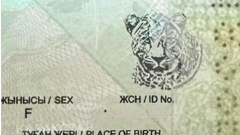 Новый элемент защиты добавили в паспорт Казахстана